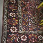 611 5412 ORIENTAL RUG